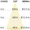 LED Fluter Prismatic 50W, neutralweiß, anthrazit, IP66