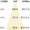 LED Fluter Prismatic 50W, warmweiß, anthrazit, IP66