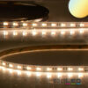 LED CRI90 SUNSET Dimm-to-warm (via PWM) Flexband, 24V DC, 14W, IP20, 1800-3000K, 5m Rolle, 60 LED/m