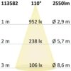 LED Fluter Prismatic 20W, kaltweiß, anthrazit, IP66