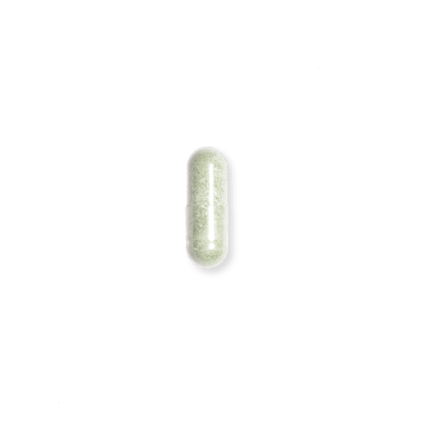 BEYOND spermidine AGELESS-EFFEKT
