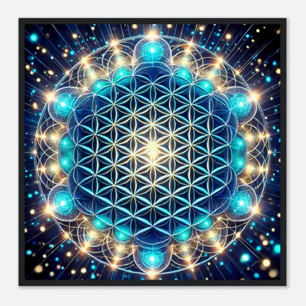 50b24701-585c-4459-a8b0-dd531541b215